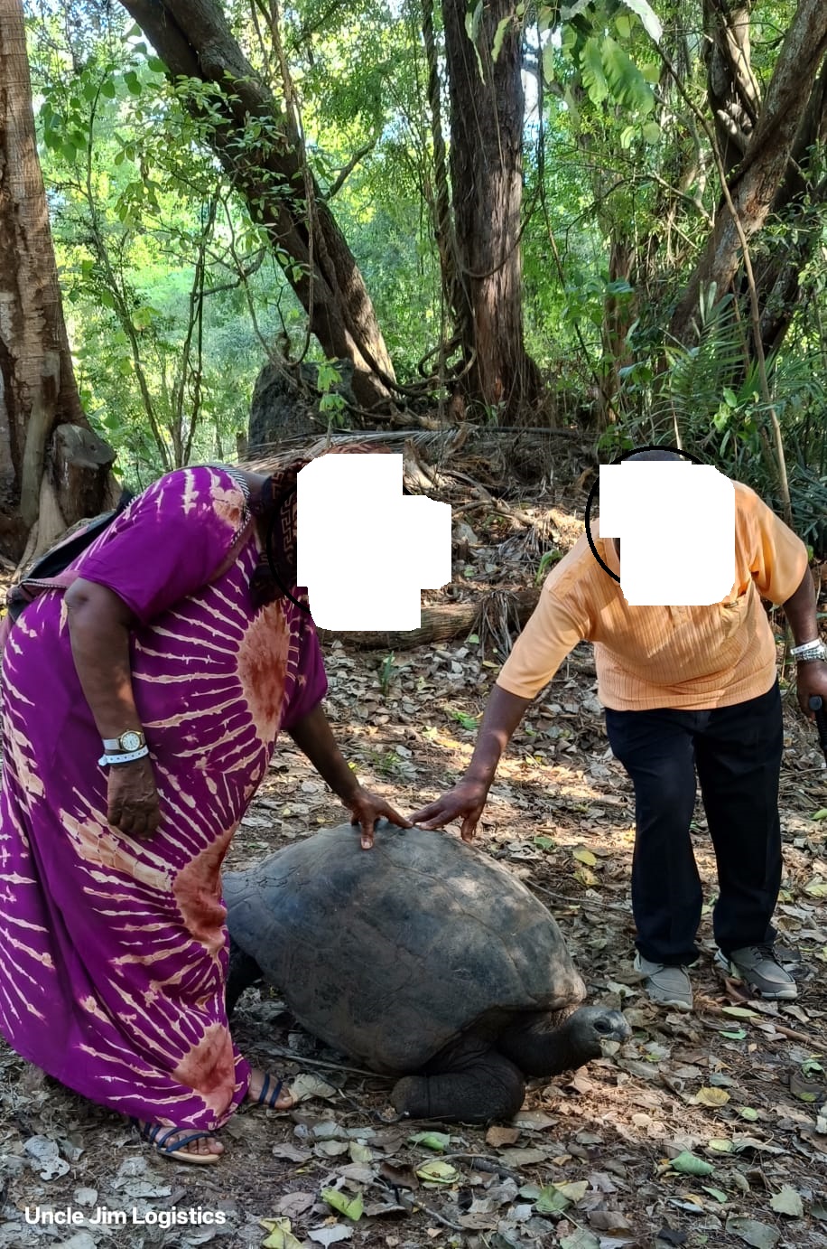 Haller Park Mombasa nature reserve